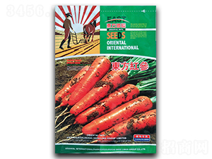 東方紅參-胡蘿卜種子-祥瑞達