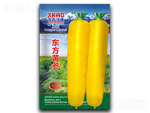 �|���S��-���}���N��-�����_