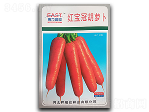 紅寶冠胡蘿卜-胡蘿卜種子-祥瑞達(dá)