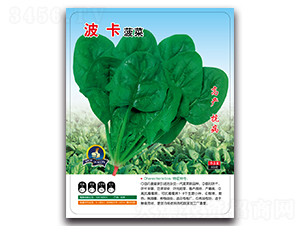 ��������-���˷N��-�����r(n��ng)