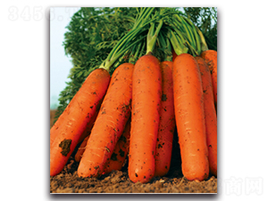 �tʥ��̖-�}���N��-�����r