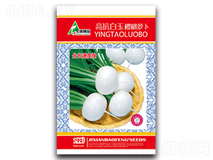 高抗白玉櫻桃蘿卜-蘿卜種子-多美農(nóng)