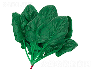 �ʼ�K6-���˷N��-�W�m��