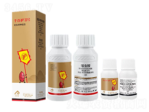 ������N�M��-ǧ���o(h��)II̖(h��o)-�����r(n��ng)