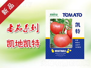 凱特-番茄種子-凱地農業(yè)