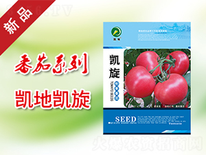 凱旋-番茄種子-凱地農業(yè)