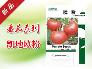 歐粉-番茄種子-凱地農(nóng)業(yè)