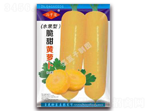 脆甜黃蘿卜-蘿卜種子-子龍種業(yè)