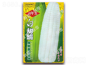 ������r����Ŵ����-Ŵ���׷N��-�����N�I(y��)