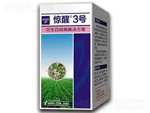 �����׽�����Q����-�@��3̖(h��o)-����r(n��ng)�I(y��)