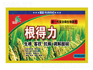 �ͺ�΢�������-������-����