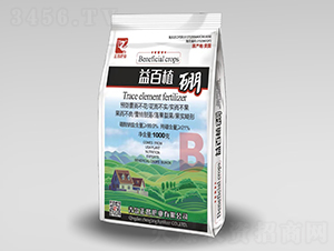 ���ֲ��-�����ʘI(y��)