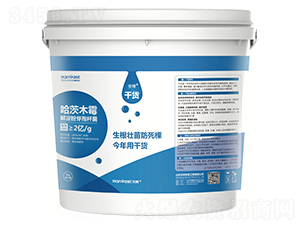 ����-��؛-�h΢����