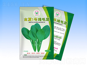 金夏一號(hào)-青梗菜種子-天龍種業(yè)