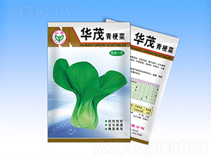 華茂-青梗菜種子-天龍種業(yè)