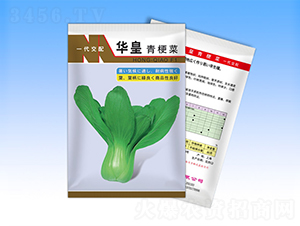 �A��-�๣�˷N��-�����N�I(y��)