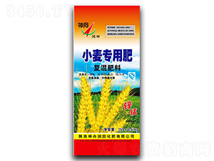 С�����Ï�(f��)�����15-7-4-���۝���