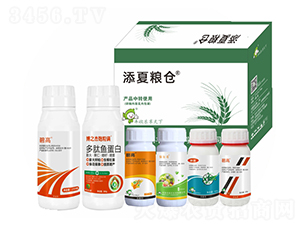 ���ļZ�}��ʮ���أ�-�S�՘�