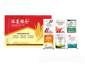 ����I�B(y��ng)��Q����������һ��-���ļZ�}-�S�՘�