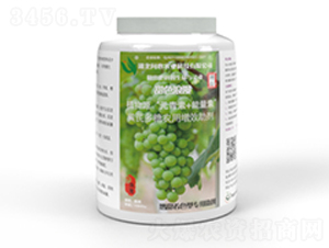 ��ɫ����-�����r(n��ng)�I(y��)