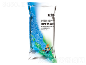 ������΢�������-�Ⱦ�-������