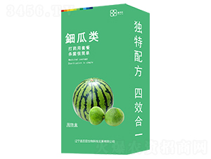 ⚹�����b��-������