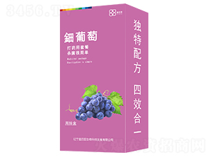 ����ѣ����b��-������