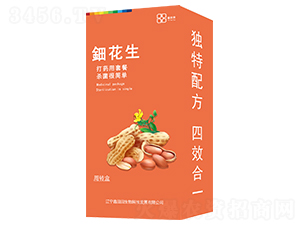 ⚻��������b��-������