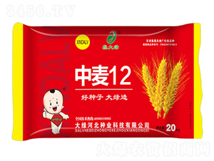 ����12-С���N��-�δ�G