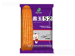 ���52-���׷N��-�δ�G