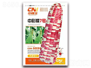 �в�Ŵ7̖(h��o)-Ŵ���׷N��-�δ�G