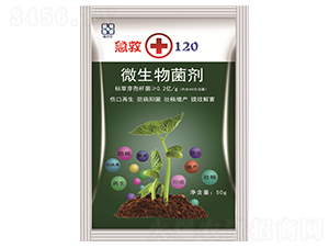 ΢�������-����120-������