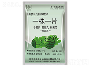 ���ό�����һ��һƬ-������