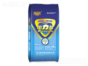 ΢�������-������-����