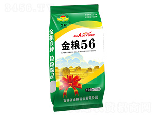 ��Z56-���׷N��-��Z�N�I(y��)