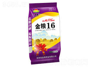 ��Z16-���׷N��-��Z�N�I(y��)