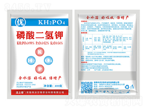 ��������-�֠���