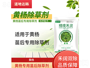 �S��������݄�-�����_(d��)�n