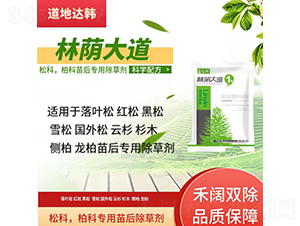 �ɿưؿƌ��������݄�-���a���-�����_(d��)�n