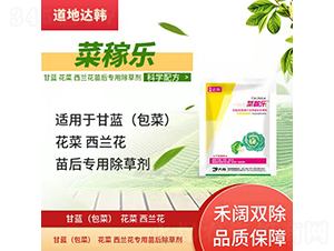 ���{(l��n)�������{(l��n)�����������݄�-�˼ژ�-�����_(d��)�n