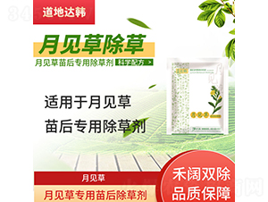 ��Ҋ�݌��������݄�-�����_�n