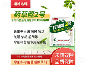 ���οƌ��������݄�-ˎ��¡2̖-�����_�n