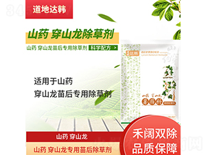 ɽˎ��ɽ�����������݄�-�����_(d��)�n