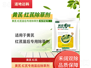 �S�μt�Ό��������݄�-�α�2̖(h��o)-�����_(d��)�n