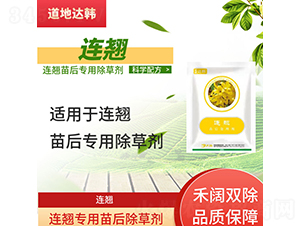 �B�N���������݄�-�����_(d��)�n