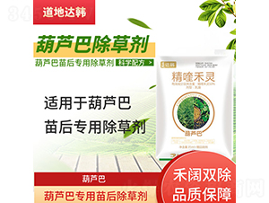 ���J�͌��������݄�-�����_(d��)�n