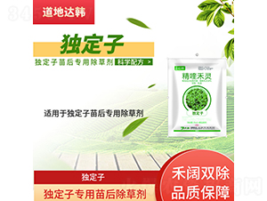 ��(d��)���ӌ��������݄�-�����_(d��)�n