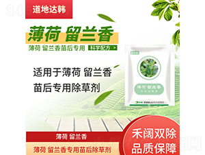 �������m�㌣�������݄�-�����_(d��)�n