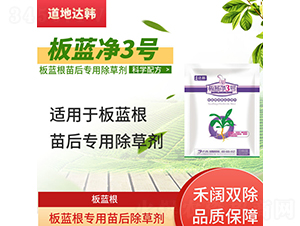 ���{(l��n)�����������݄�-���{(l��n)��3̖(h��o)-�����_(d��)�n