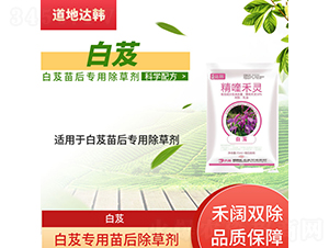 ��ܸ���������݄�-�����_(d��)�n